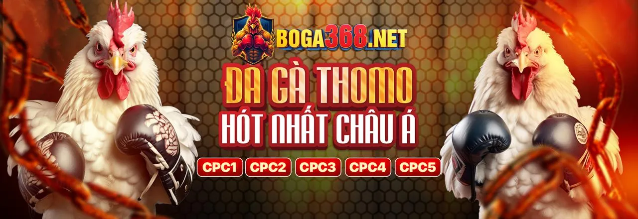 Nền tảng cá cược đá gà và thể thao da ga dao