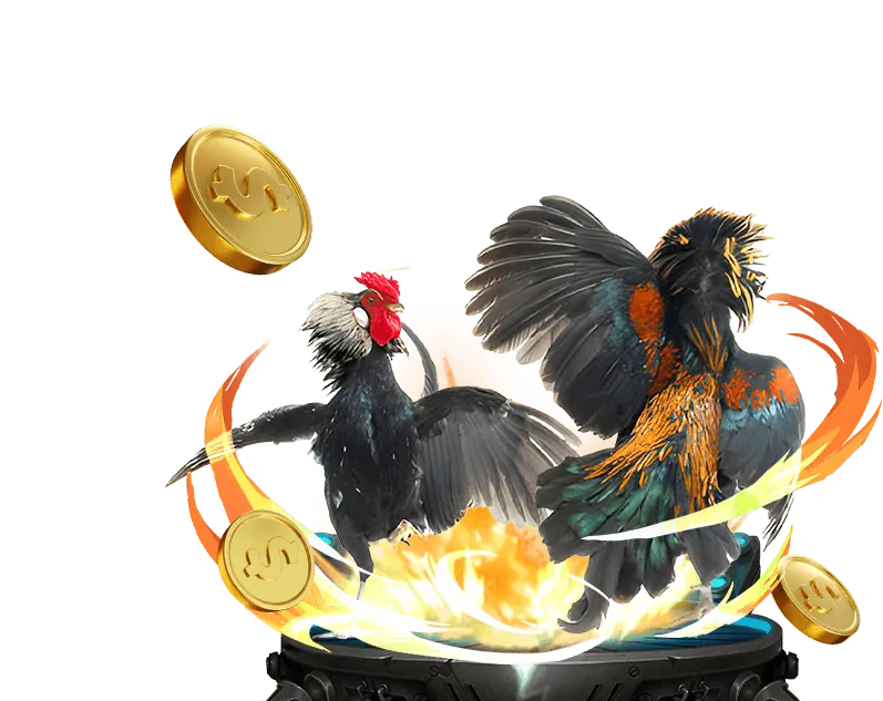 Lịch sử phát triển Đá Gà Đảo